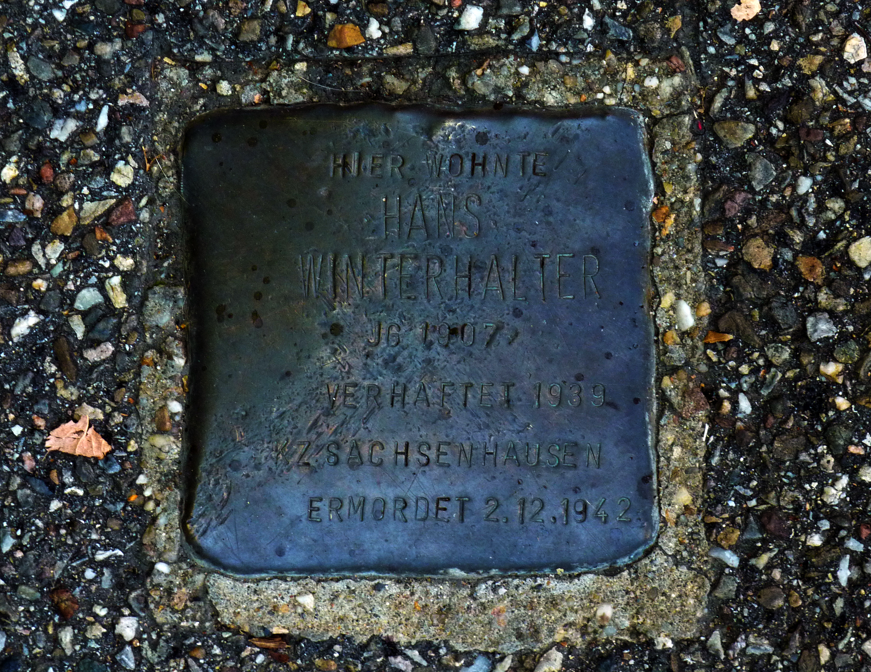 Stolperstein für den aus Hinterzarten/Baden stammenden Hans Winterhalter, der 1942 im KZ Sachsenhausen ermordet wurd.