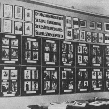 Dargestellt ist ein altes schwarz-weißes Foto einer Porträt-Wand, die in oberster Reihe ein Schild mit der Aufschrift "Magnus Hirschfeld - Sexuelle Zwischenstufen" zeigt. Der Schriftzug "Sexuelle Zwischenstufen" ist dabei an erster Stelle in englischer, an zweiter in französischer und an dritter Stelle in deutscher Sprache abgedruckt. Jeweils links und rechts von jenem Schild, hängen zwei untereinander angeordnete Reihen kleinerer Bilder, die aber alle einen Rahmen etwa gleicher Größe haben. Die zwei Reihen unter dem Schild haben insgesamt acht Rahmen, in welchen jeweils vier Fotos auf schwarzem Grund angeordnet sind. Jedes der Bilder hat offenbar eine Beschreibung, wobei durch die Entfernung diese unleserlich und jene Bilder nur erahnt werden können. Die Porträt-Wand rundet sich im letzten Achtel des Bildes in die Rauminnenseite ab, an welcher nach einer zusätzlich senkrecht angebrachten Reihe von kleineren Porträts ein Türrahmen deutlich wird. In der rechten unteren Hälfte ist die Arbeitsfläche eines Schreibtisches zu erkennen, die mit aufgeschlagenen Büchern bedeckt ist.