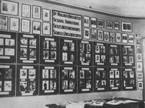 Dargestellt ist ein altes schwarz-weißes Foto einer Porträt-Wand, die in oberster Reihe ein Schild mit der Aufschrift "Magnus Hirschfeld - Sexuelle Zwischenstufen" zeigt. Der Schriftzug "Sexuelle Zwischenstufen" ist dabei an erster Stelle in englischer, an zweiter in französischer und an dritter Stelle in deutscher Sprache abgedruckt. Jeweils links und rechts von jenem Schild, hängen zwei untereinander angeordnete Reihen kleinerer Bilder, die aber alle einen Rahmen etwa gleicher Größe haben. Die zwei Reihen unter dem Schild haben insgesamt acht Rahmen, in welchen jeweils vier Fotos auf schwarzem Grund angeordnet sind. Jedes der Bilder hat offenbar eine Beschreibung, wobei durch die Entfernung diese unleserlich und jene Bilder nur erahnt werden können. Die Porträt-Wand rundet sich im letzten Achtel des Bildes in die Rauminnenseite ab, an welcher nach einer zusätzlich senkrecht angebrachten Reihe von kleineren Porträts ein Türrahmen deutlich wird. In der rechten unteren Hälfte ist die Arbeitsfläche eines Schreibtisches zu erkennen, die mit aufgeschlagenen Büchern bedeckt ist.